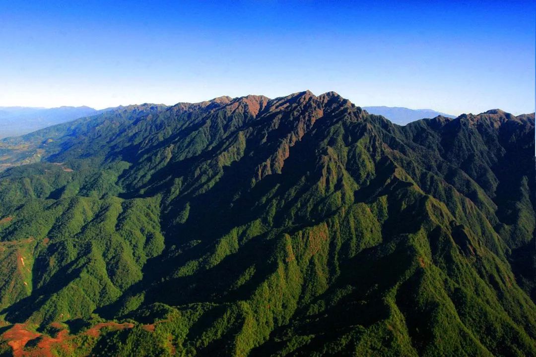 一起探寻绝美的森林秘境高黎贡山相遇无释