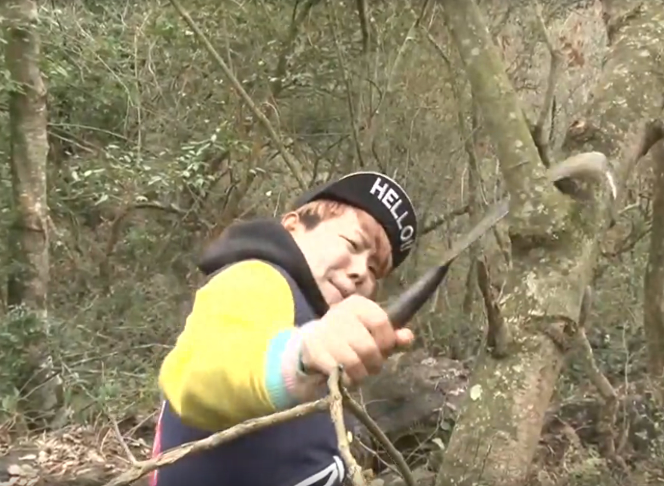 回顾辽宁富家女每天早饭300块每月零花钱5万爱好是和母亲对打