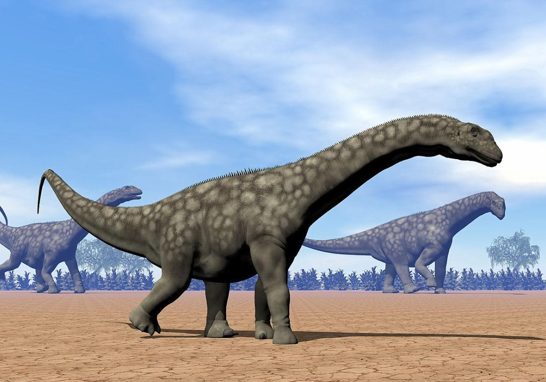 蜥脚类恐龙之王:阿根廷龙,它有多大?