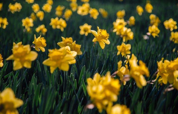 电影《小伍哥》投资解析生活不全是利益,更多的是彼此成就