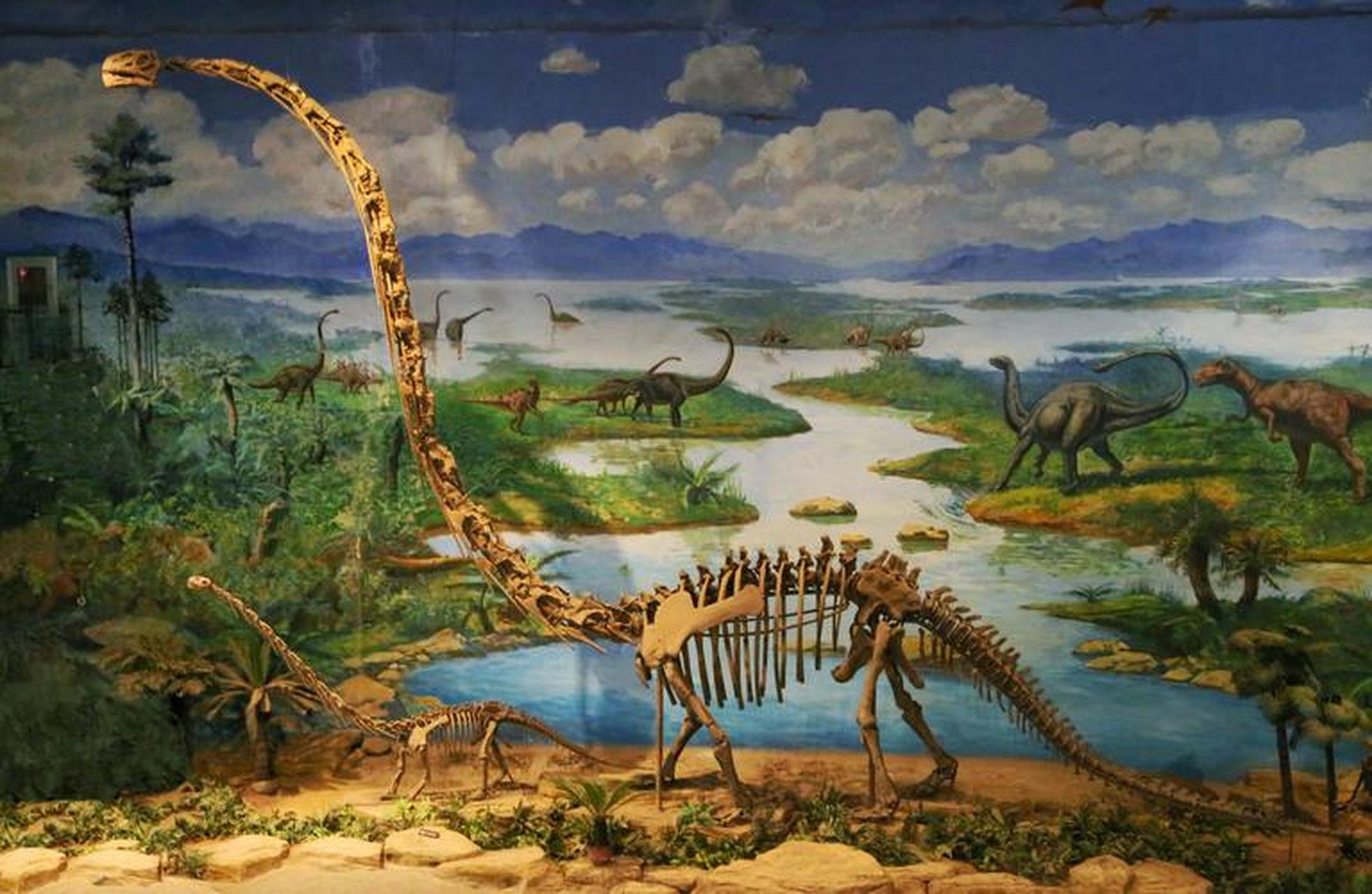 亮出我的王牌#探索自贡恐龙博物馆:在博物馆内的恐龙化石数量众多且 