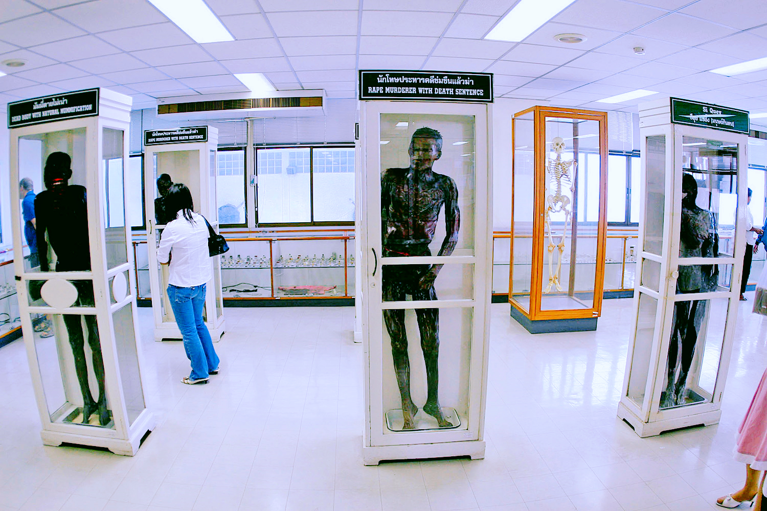 曼谷"重口味"博物馆,存放着很多婴儿标本,当地人都很少去