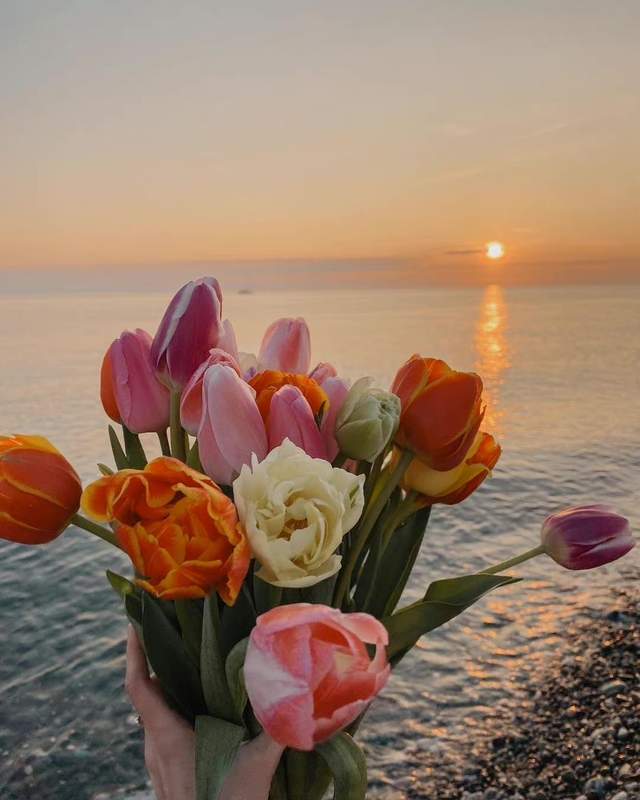 一些温柔治愈系朋友圈背景图