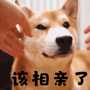 程序员居然在春节里做这样的事?程序员春节大揭秘