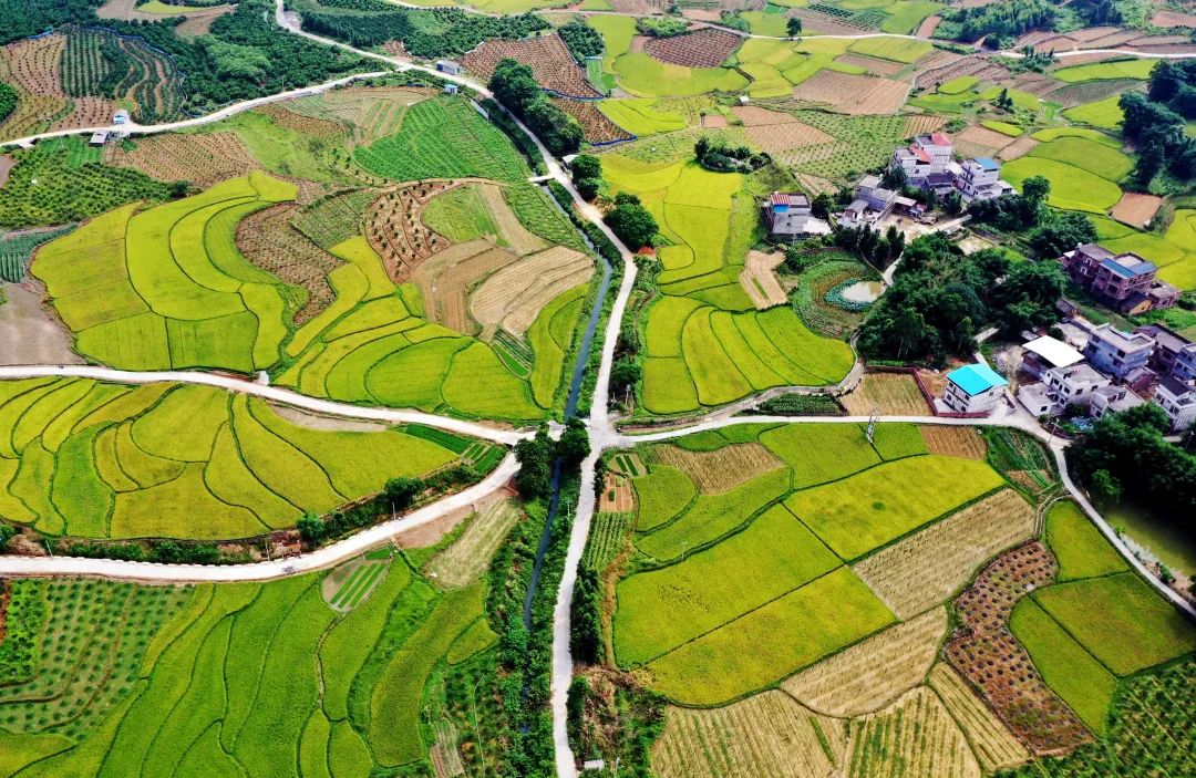 【圆梦小康】融安生态乡村美如画
