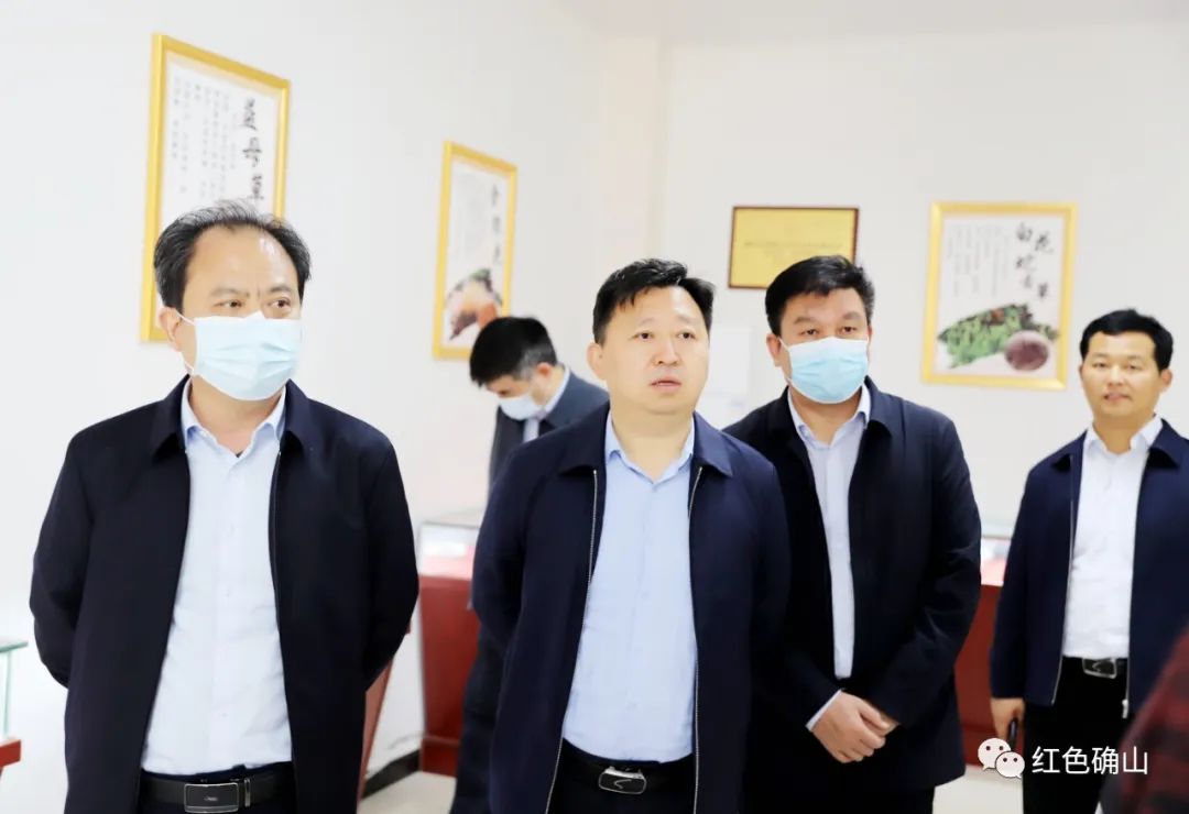 市委副书记曹新博到确山县调研