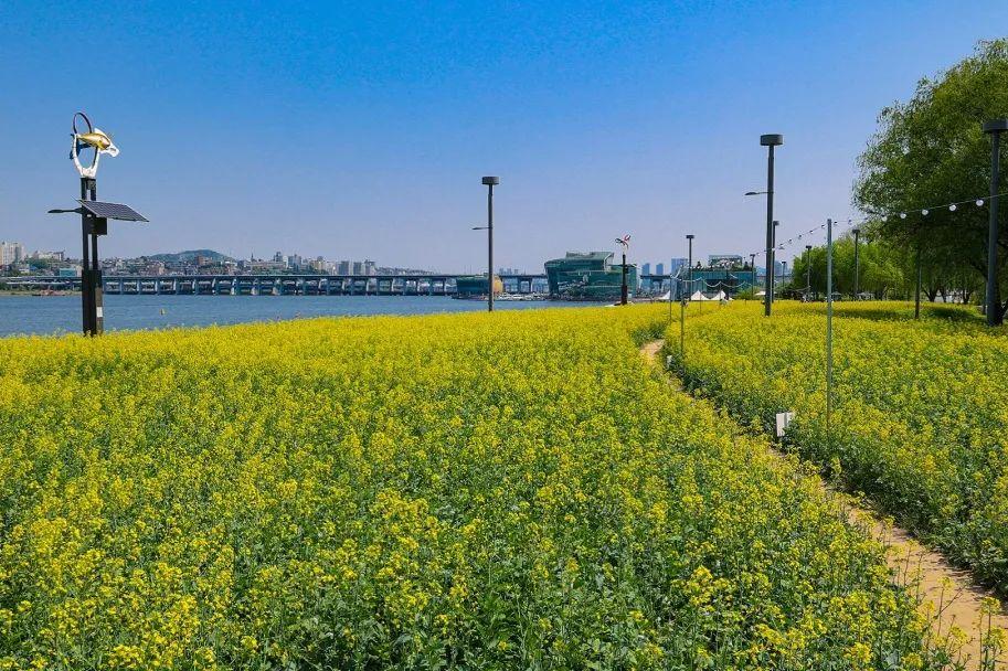 韩国庆尚北道,首尔市道峰区,首尔市瑞草区——2022服贸会"一带一路"