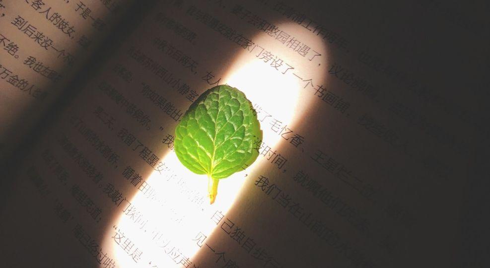 让你永不发脾气的5个字