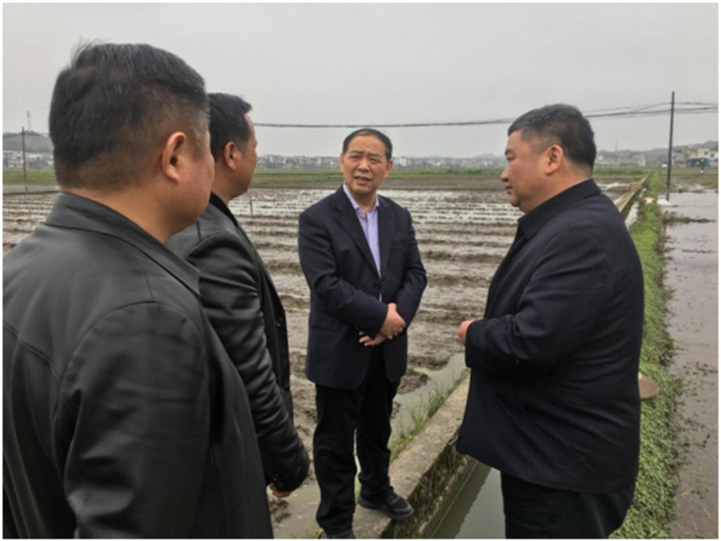 谭精益督促指导粮食生产工作