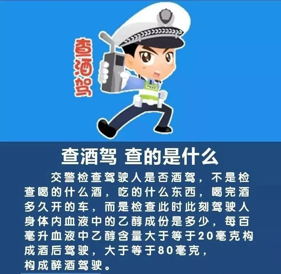 酒架图片大全 家庭图片