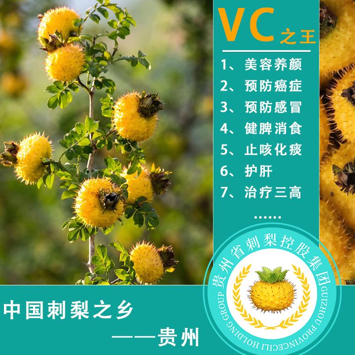 刺梨的功效和作用(刺梨饮料有前景吗)刺梨原汁oem加工贴牌