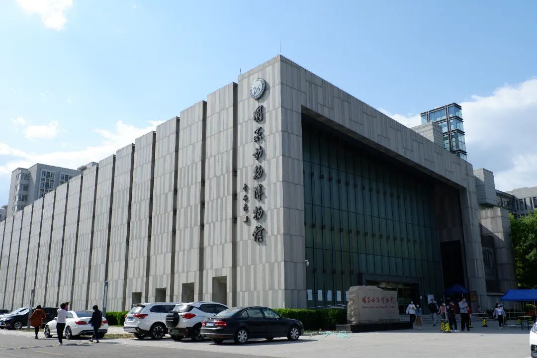 走,去国家动物博物馆