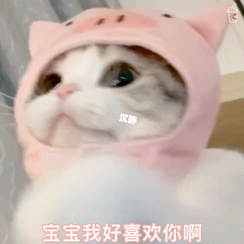 503_503gif 动态图 动图