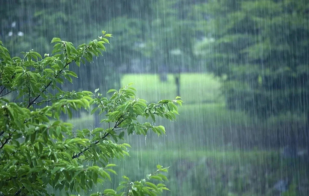 亲测安全下雨天户外露营原来这么有氛围