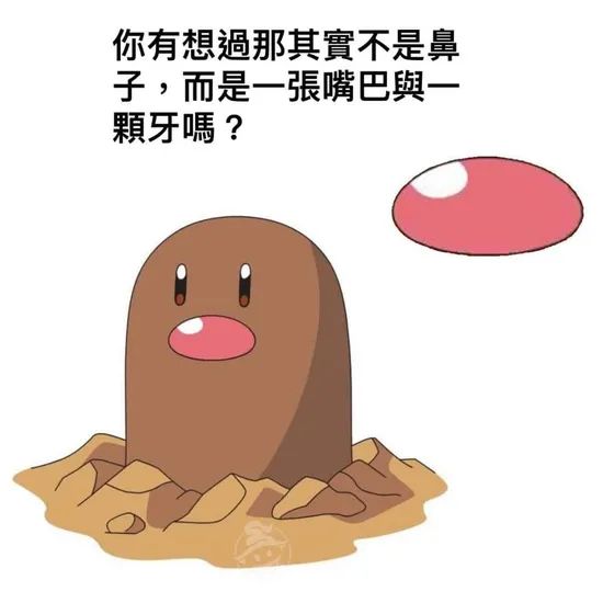 每日趣图:男生拍照vs女生拍照,小仓鼠都怀疑人生了!