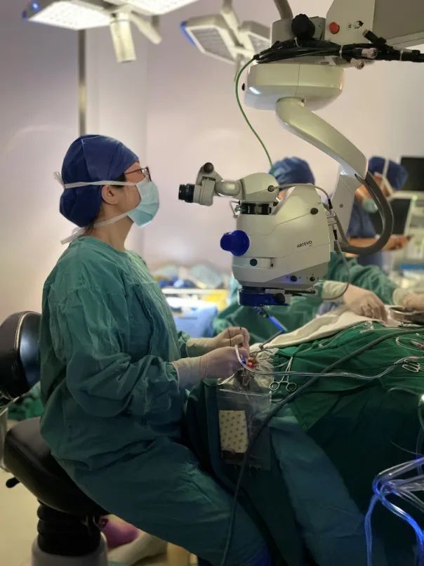 良医|"银蛇奖"获得者杨晓璐:眼肿瘤只能摘眼球吗?不