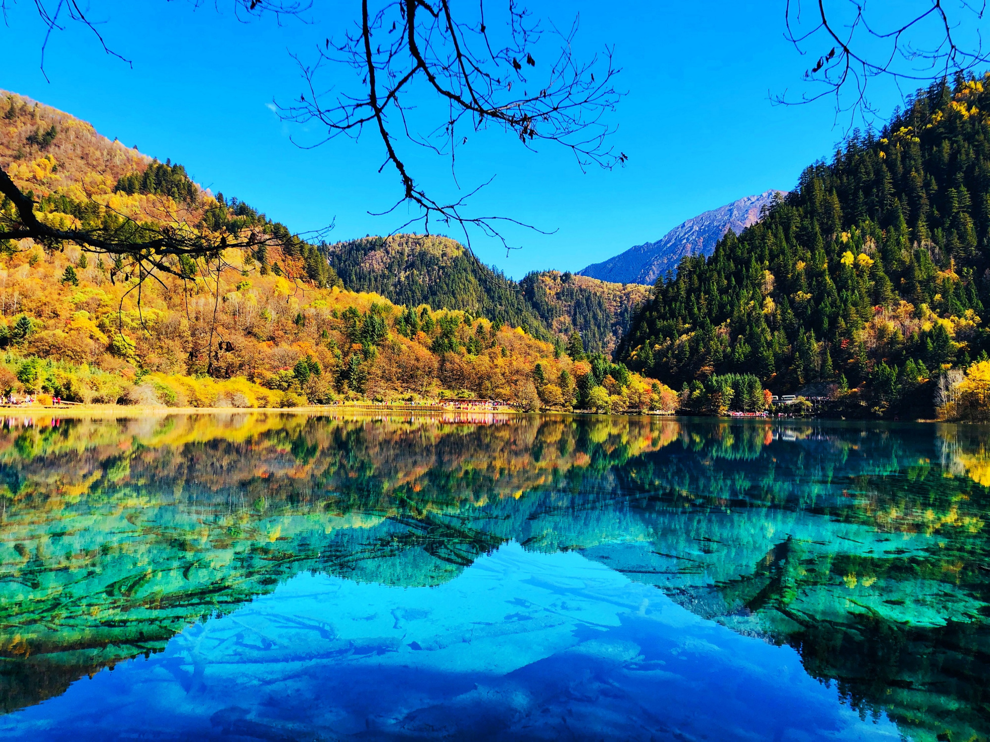 九寨沟景区五花海 九寨沟县文化体育和旅游局 供图