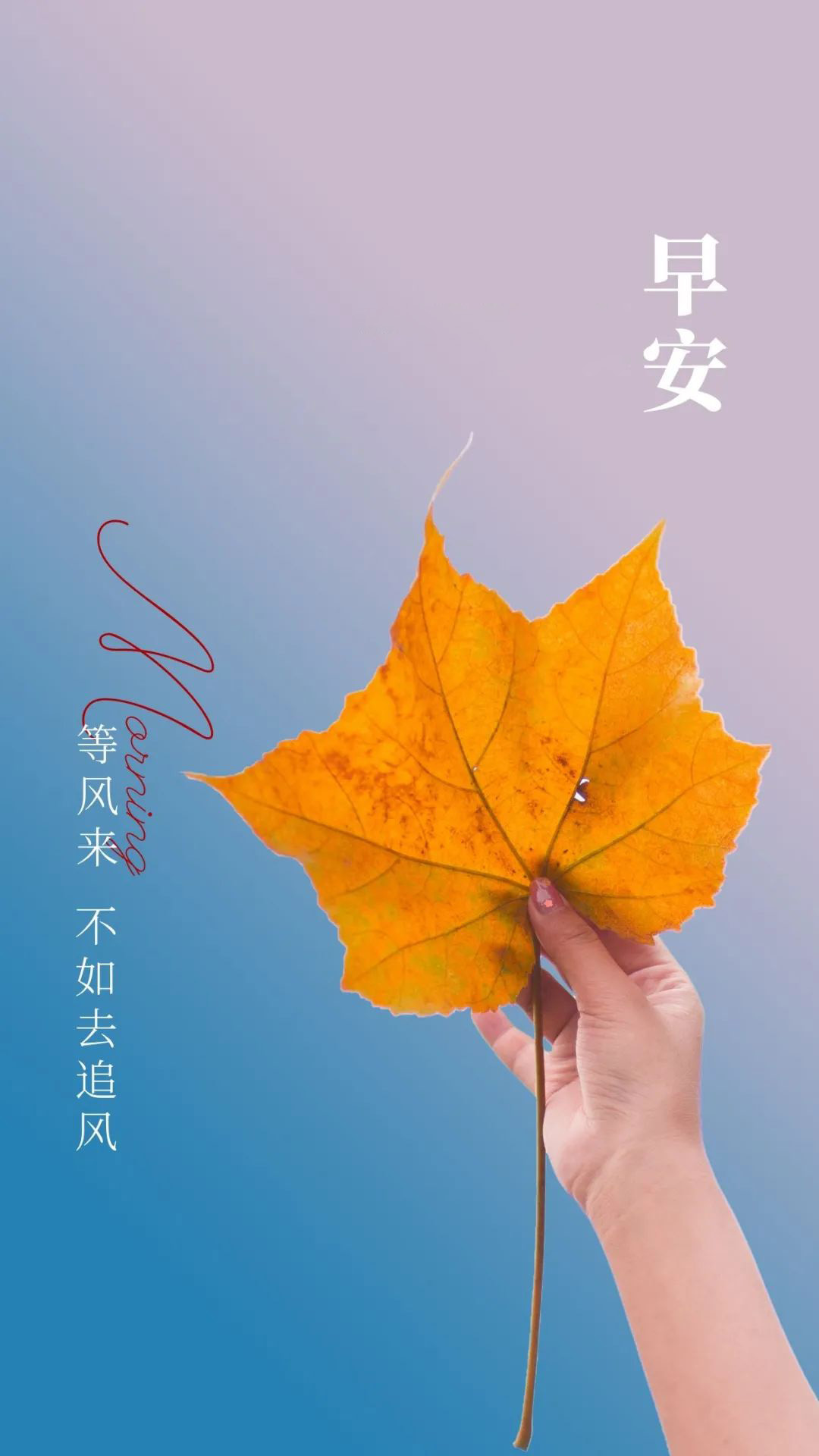 能让人充满斗志的图片语录,等风来,不如追风去!