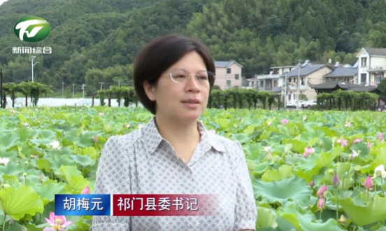 胡梅元:奋力绘就和美乡村新画卷