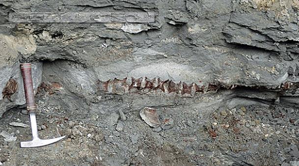 广东省河源市:发现6600万年前恐龙蛋化石