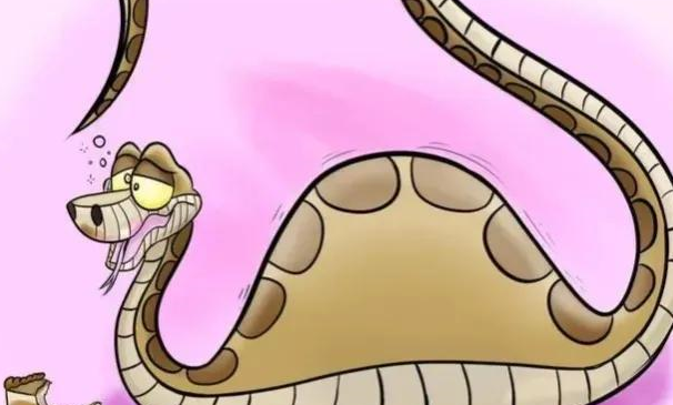 长相"土气"的毒蛇,体长只有50厘米,每年咬伤20万人!