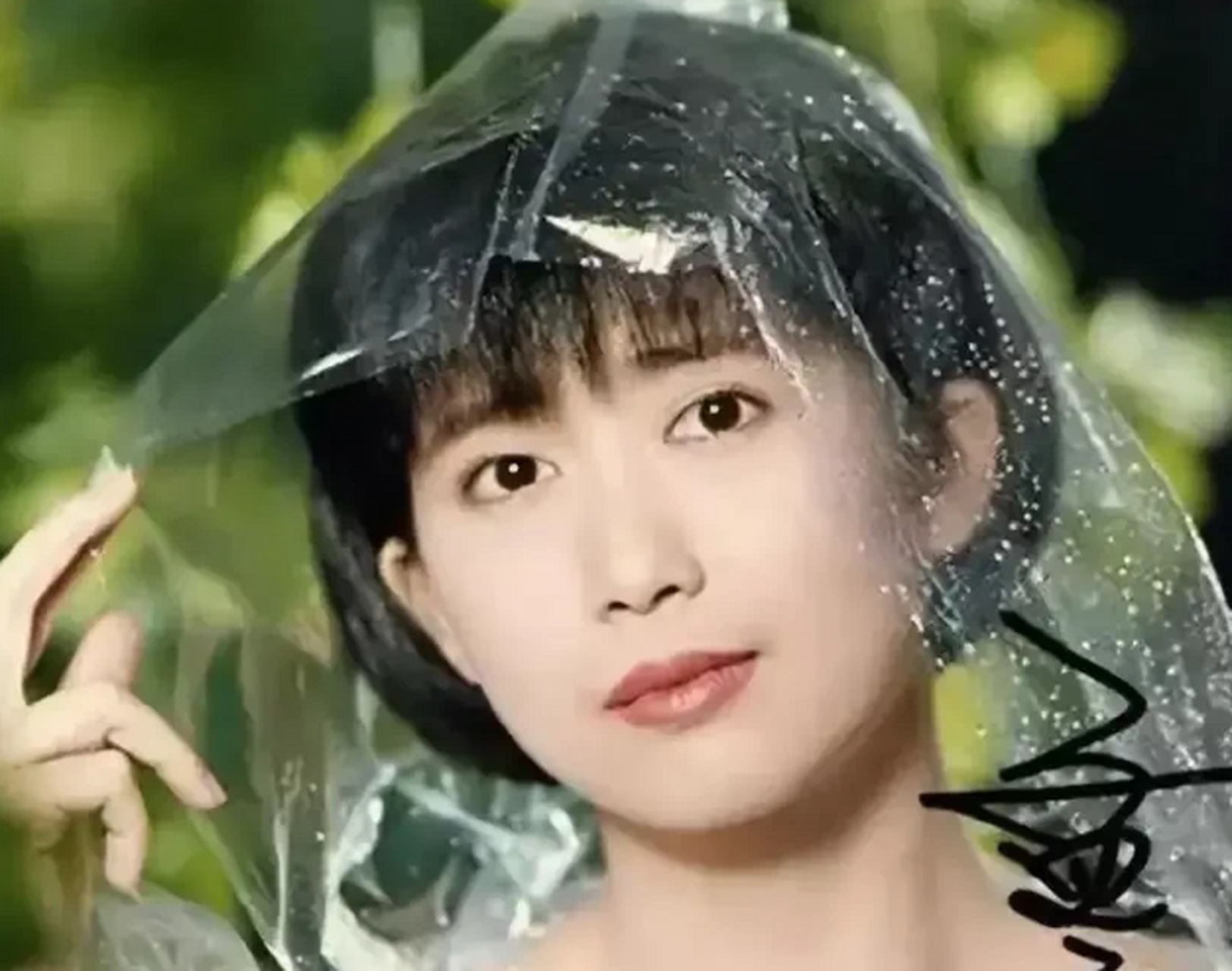 1995年,在台湾红得发紫的孟庭苇接受春晚的邀请,登台演唱自己的经典