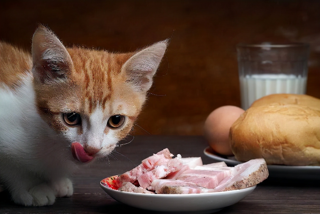 这5种食物,猫咪一见到就"流口水",你家猫也爱吃吗?