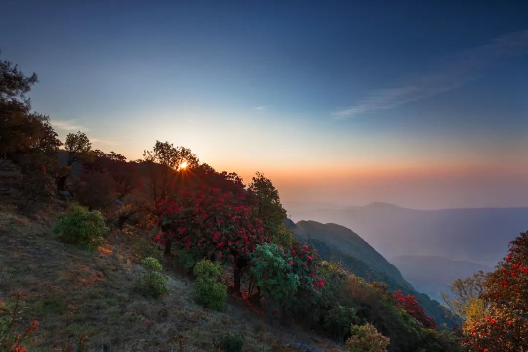 乐享云南|美景·新平磨盘山国家森林公园