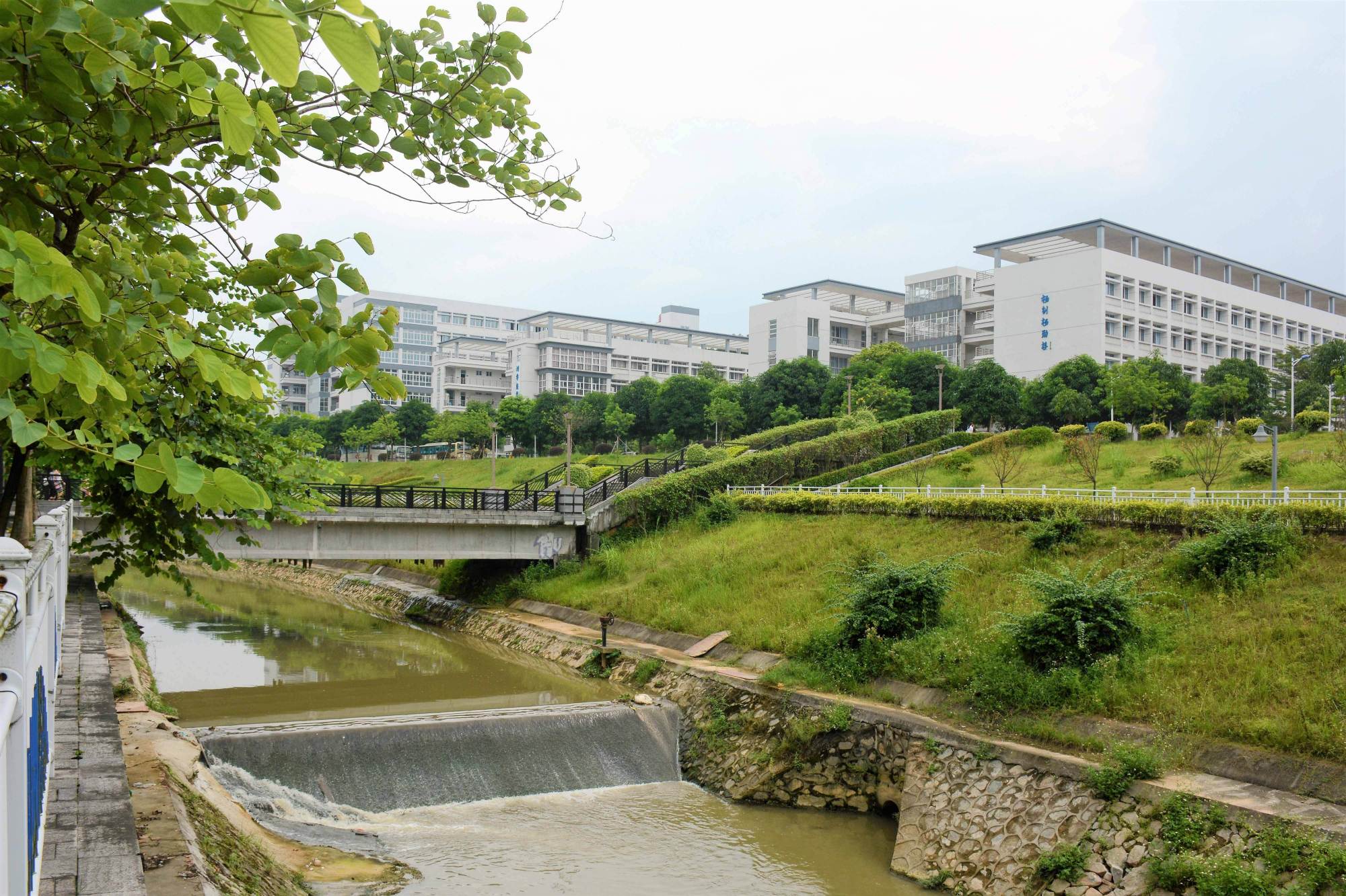 仲恺农业工程学院河流图片