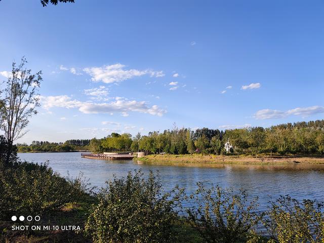 超大杯下的秋色,果然不同凡响,小米10至尊纪念版实拍