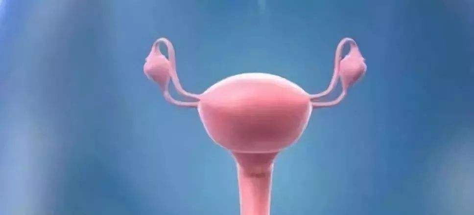 子宫内翻,是分娩期严重而罕见的并发症,多数发生在第三产程