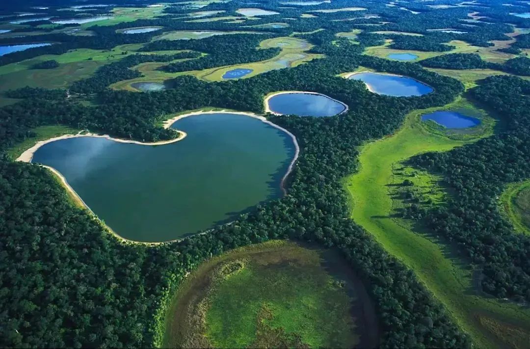 探秘南美洲最大湿地,神秘的潘塔纳尔湿地