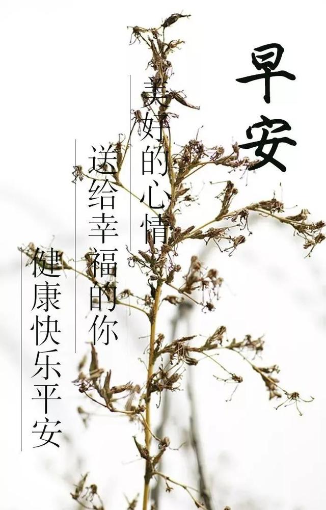 祝福語錄精選,朋友圈溫馨祝福問候