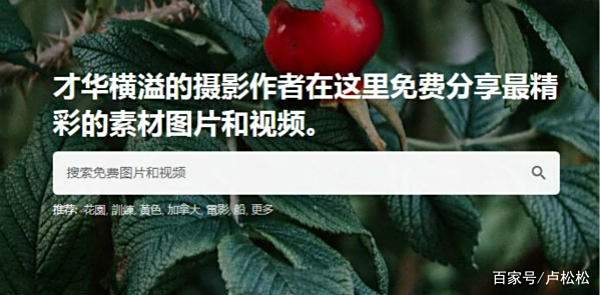 安全创业指南二:如何避免图片侵权