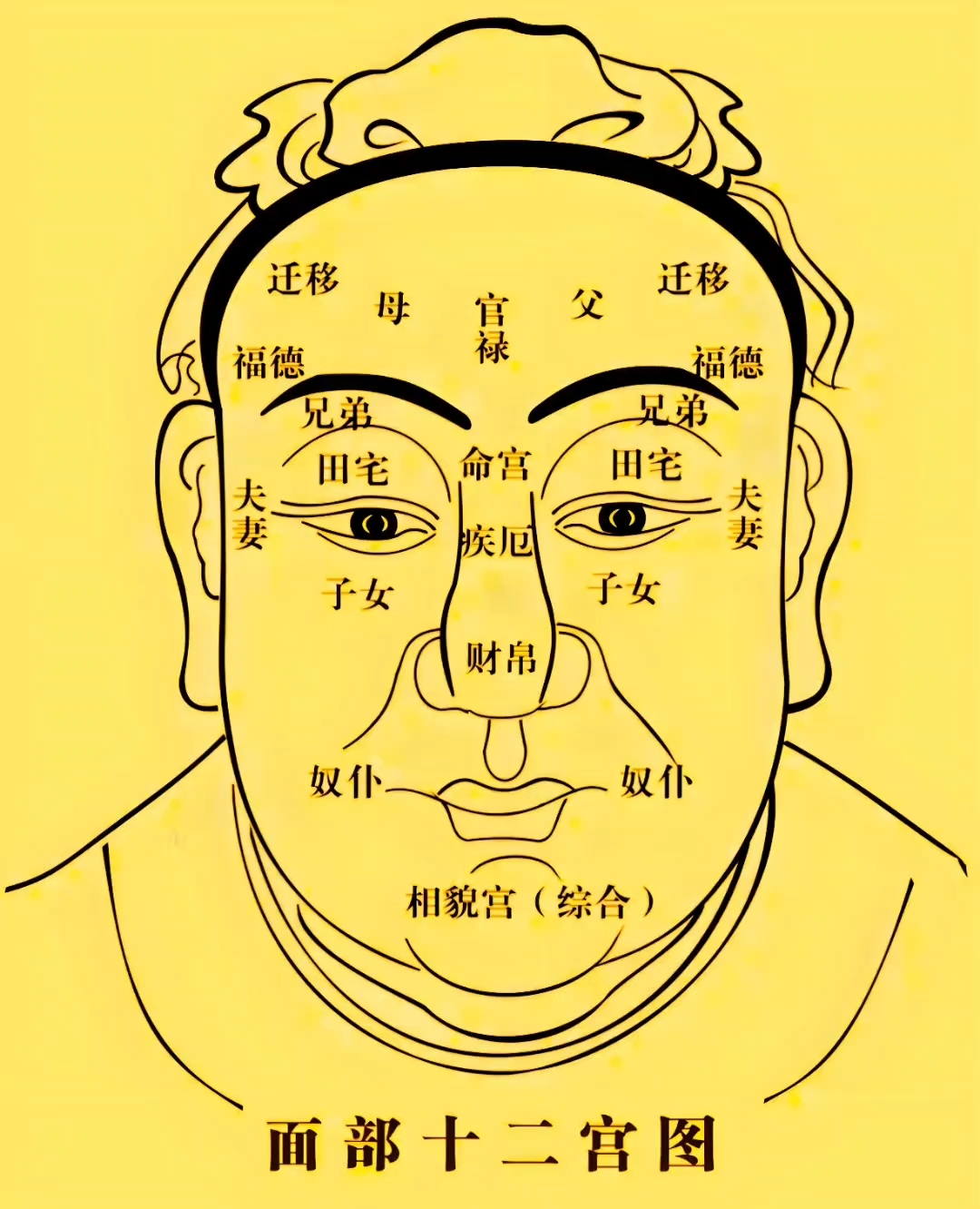 民俗文化分享,麻衣神相面部十二宫为图!