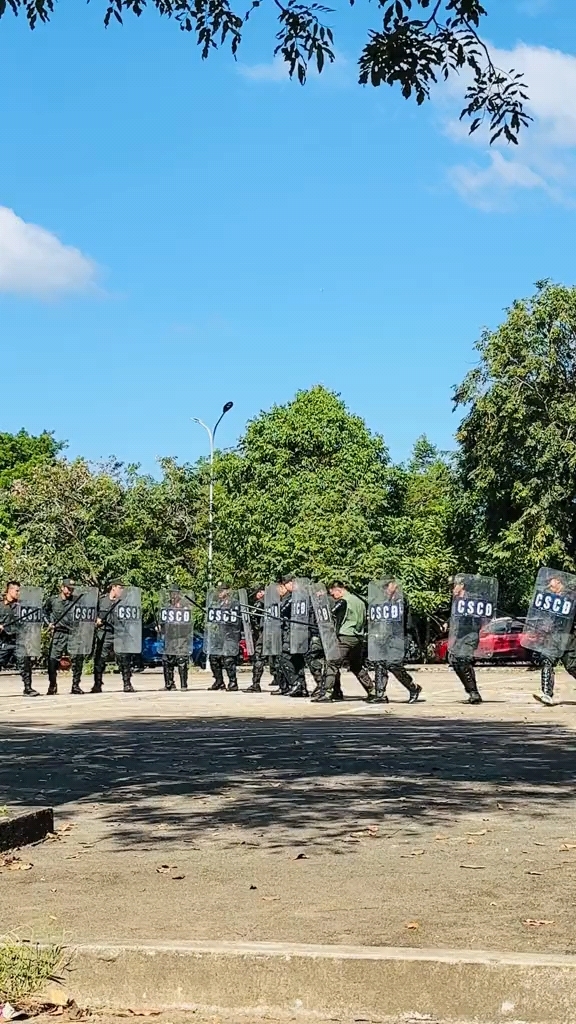 越南警察防暴训练