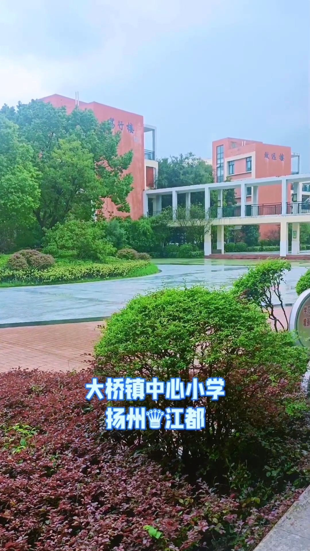 江北明珠,工业强镇,大桥镇中心小学