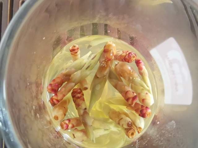 云南大理:寂寞人间五百年,又见天峰雀嘴茶