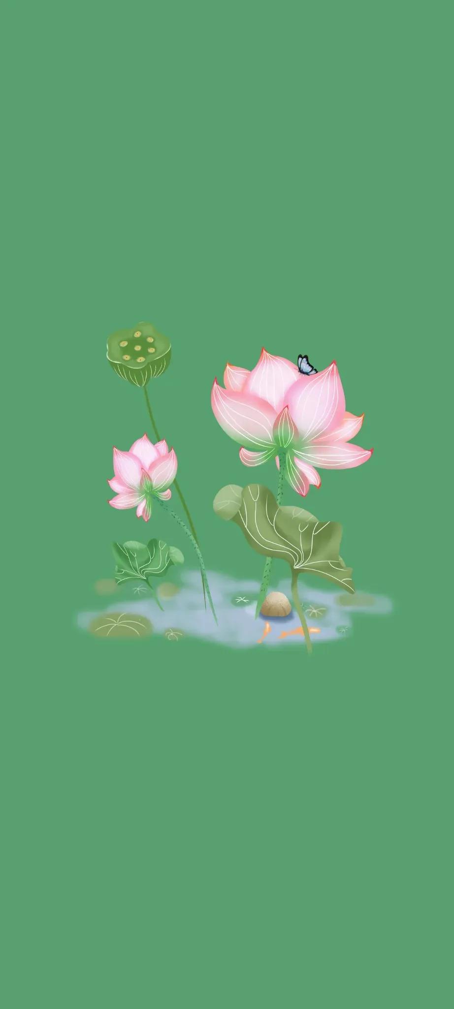 清新绿色护眼荷花壁纸