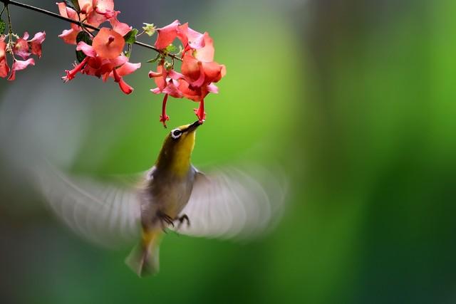"大海和我父母,大哥大嫂的感情很深,显然我父亲已经告诉大海中午要