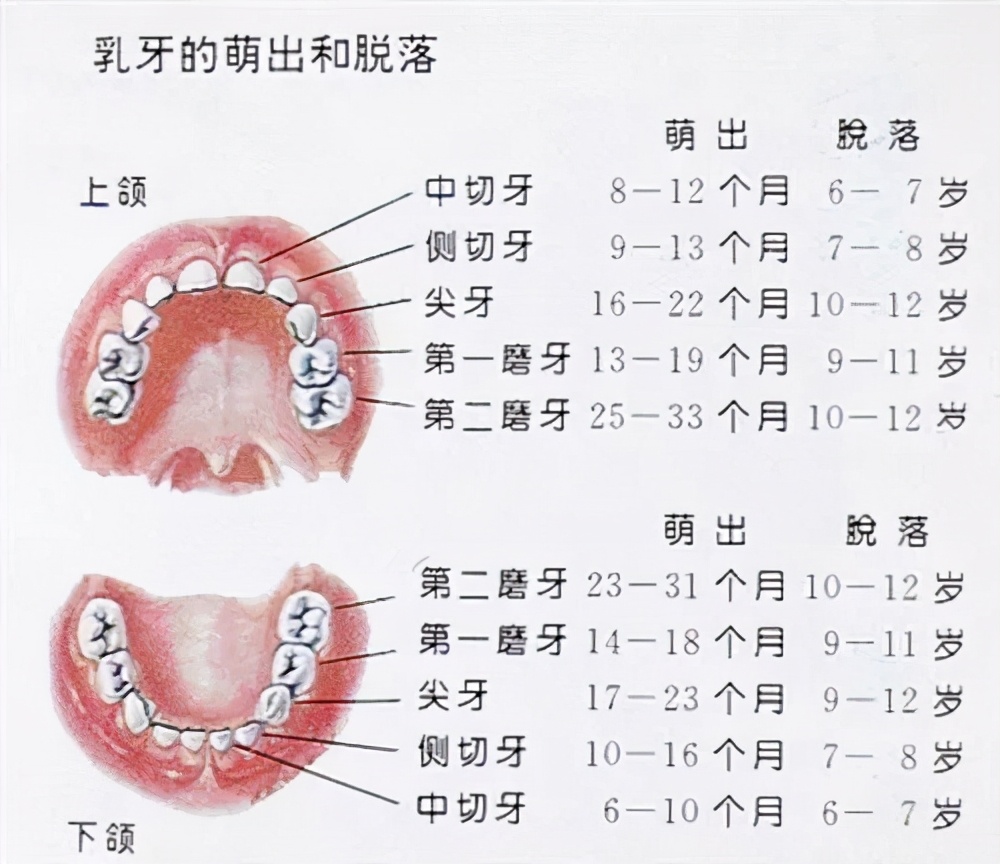 最全儿童换牙时间表!爸妈一定要知道(建议收藏)