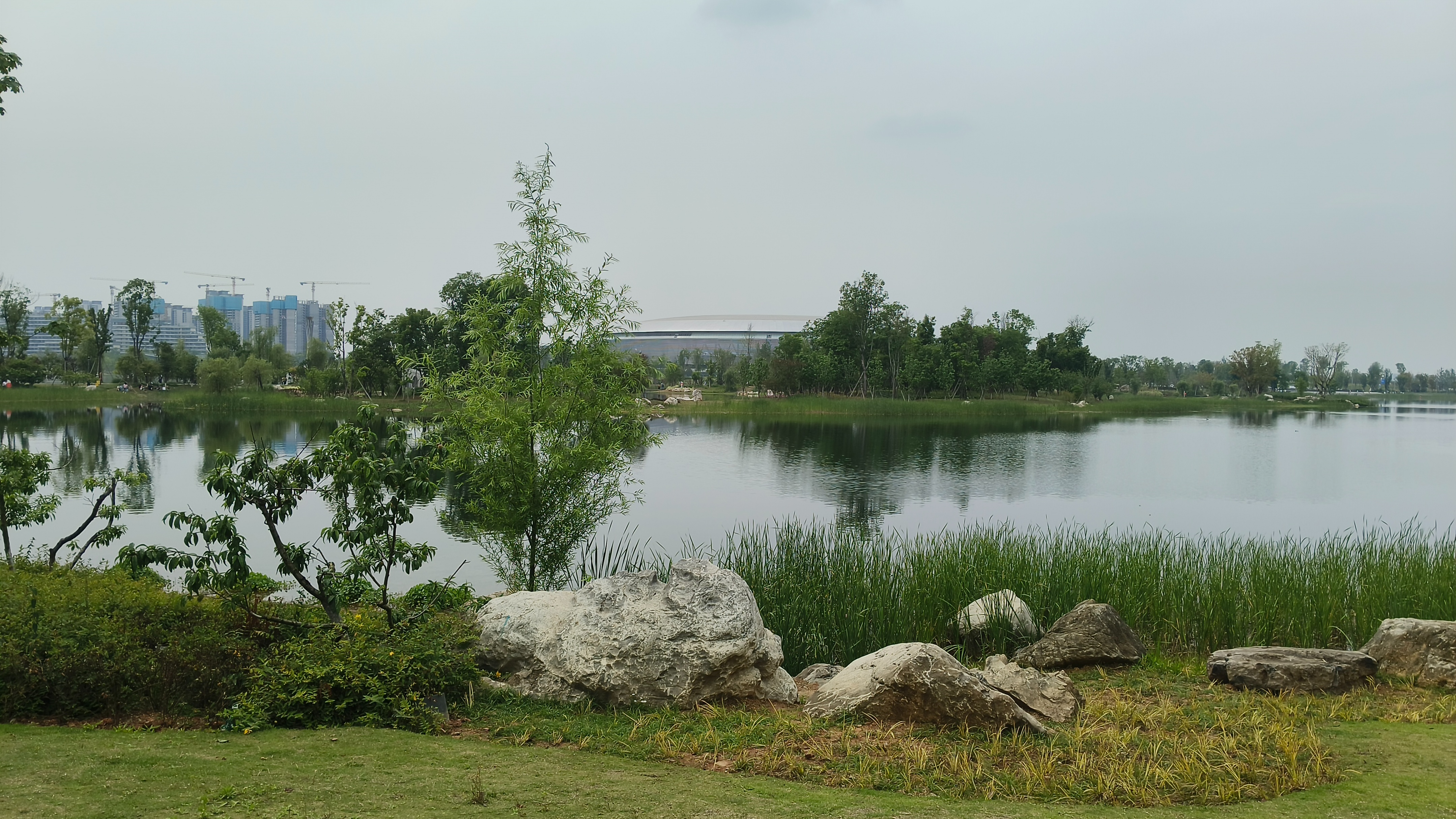 龙泉驿一日闲逛,建有大运会场馆的东安湖最美