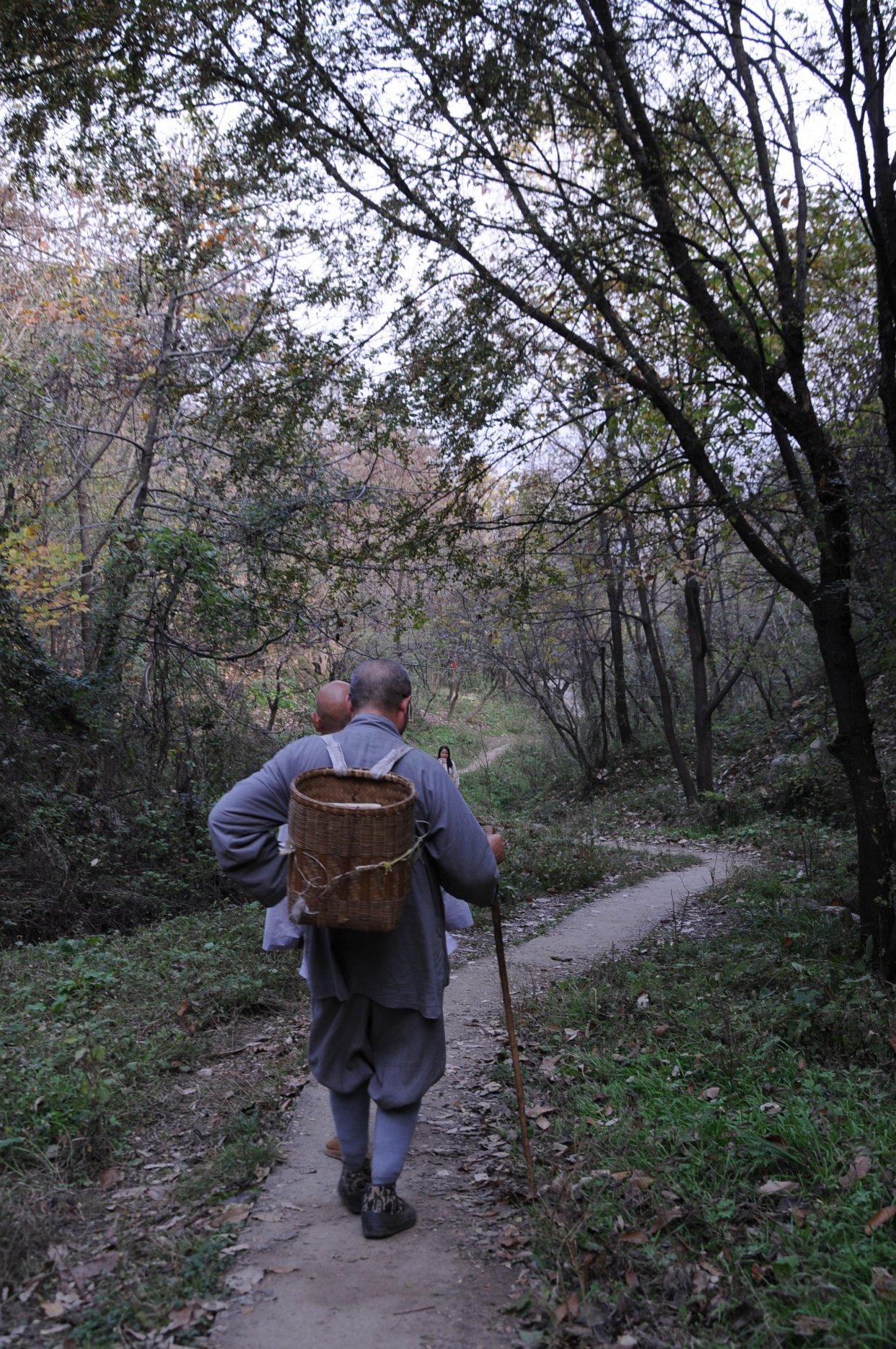 终南山中神秘古刹,抵达需先经悬崖上的古道,密林中藏着舍利塔!