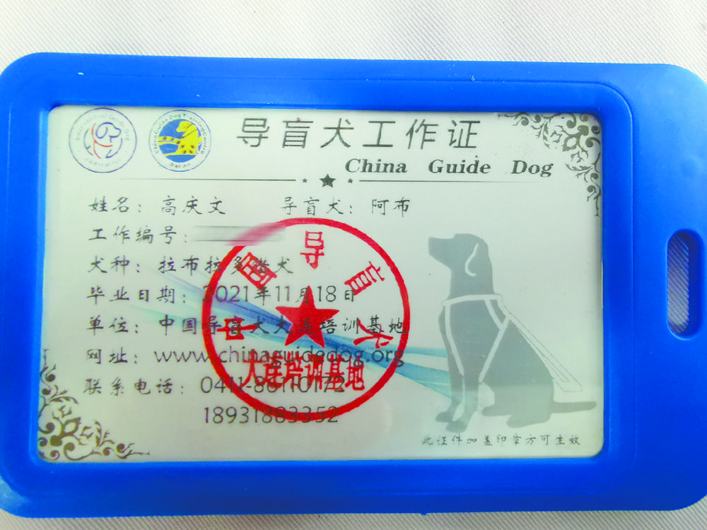 "阿布,你是我的眼!