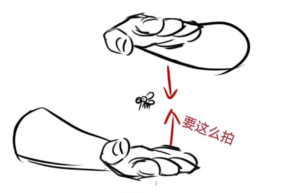 九成人不知蚊子的最大天敌是啥用个土招整夜开窗也不用怕