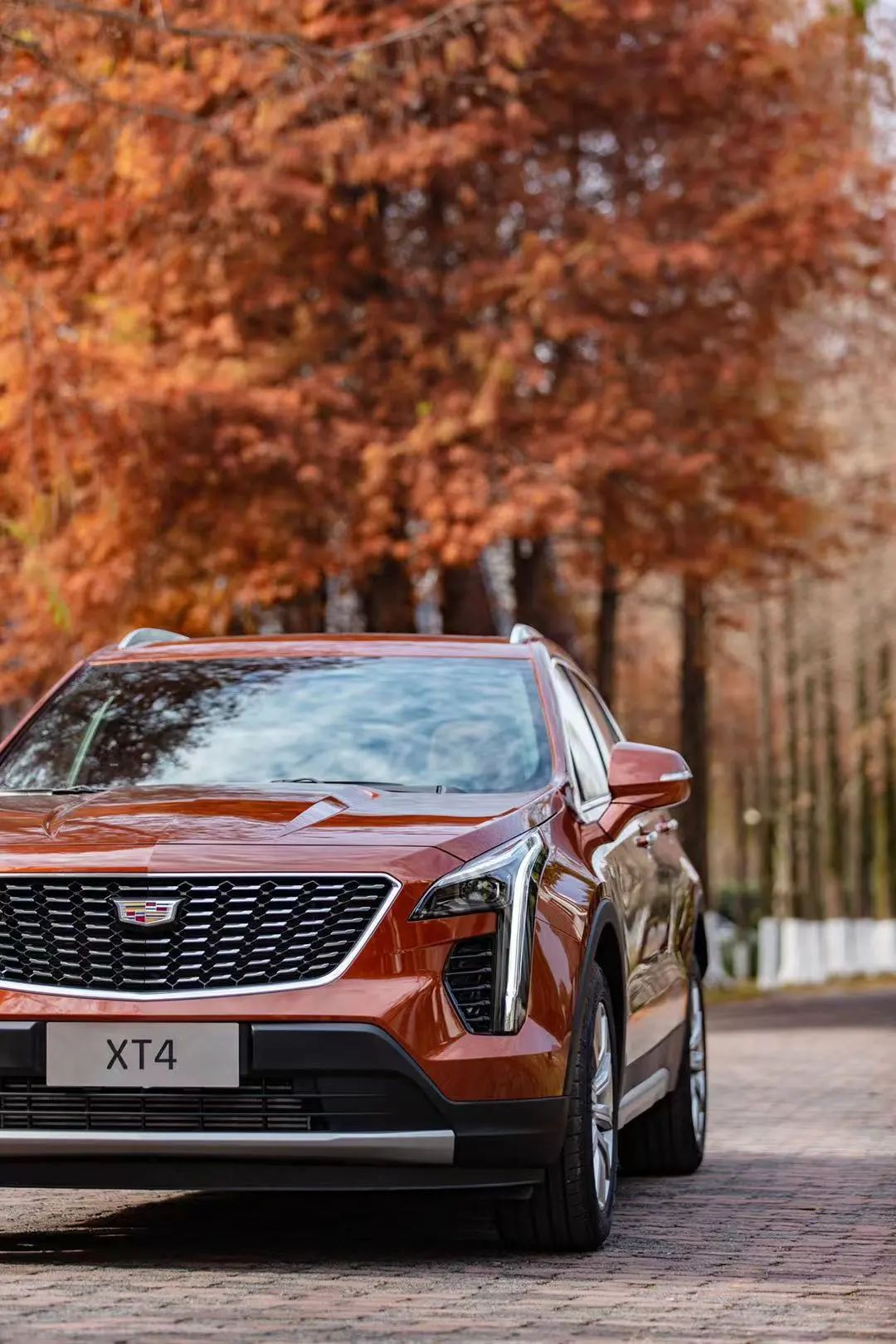 凯迪拉克xt4:橙衣小将显神威,48v轻混更平顺