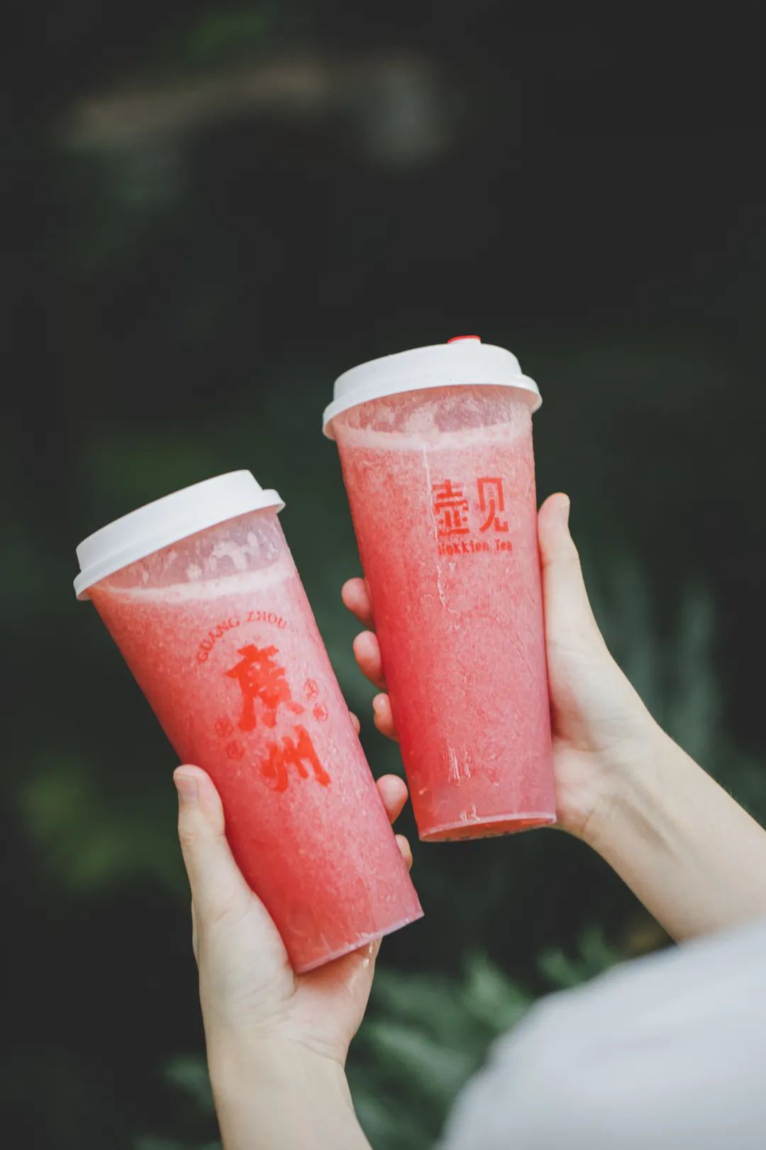 福建「石花摇摇冰」来了,比空调更凉是什么来头?