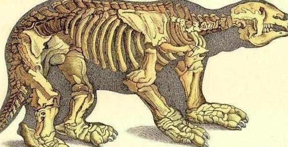 巨鬣狗能打过剑齿虎吗?为什么?