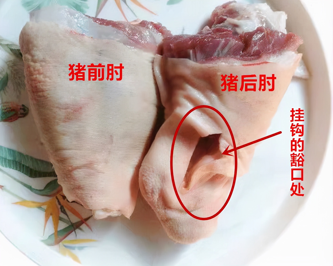 年货买肘子,你知道"前肘"和"后肘"差别有多大吗?别买错了