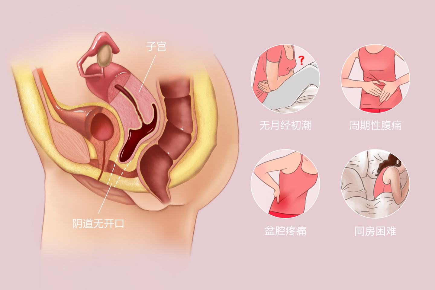 baijiahao.baidu.com